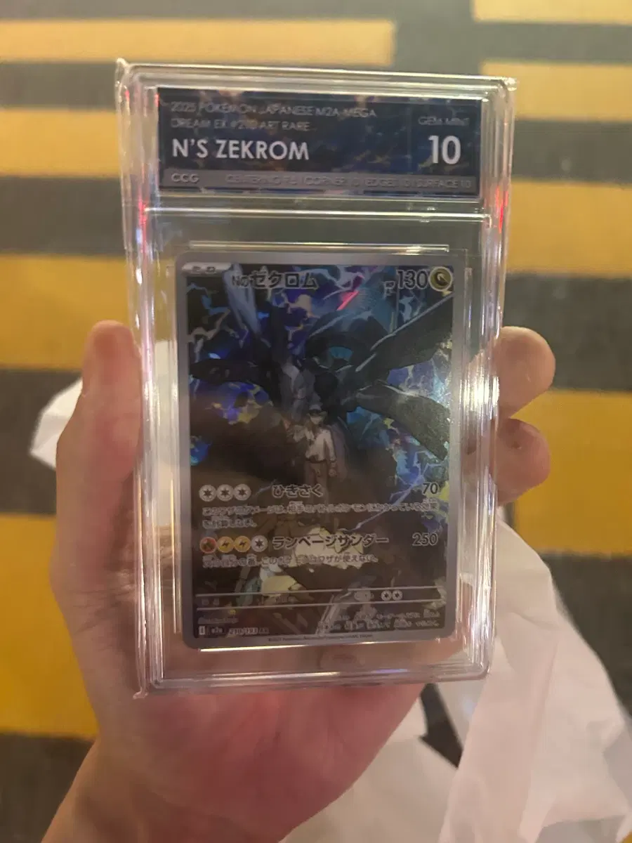 포켓몬카드 ccg 1 n의 제크로무 ar