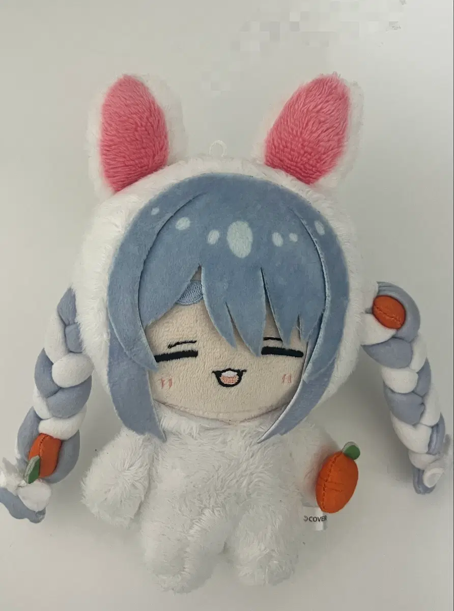 페코라 누이