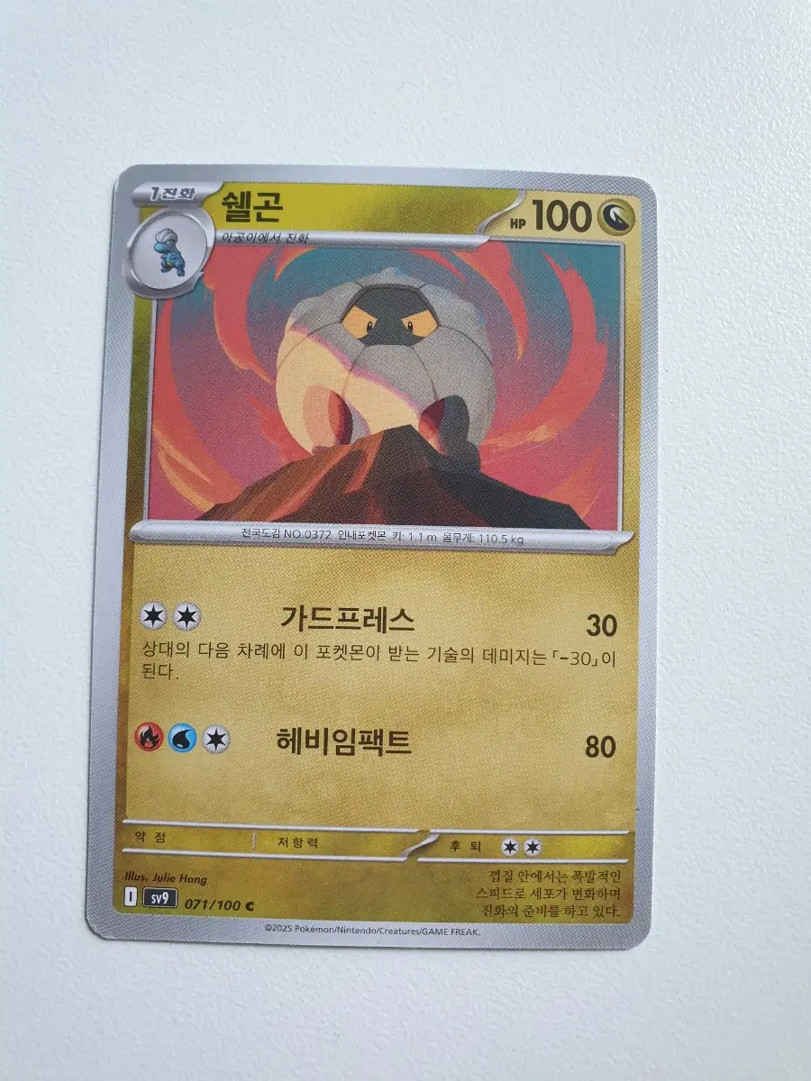 쉘곤 포켓몬카드