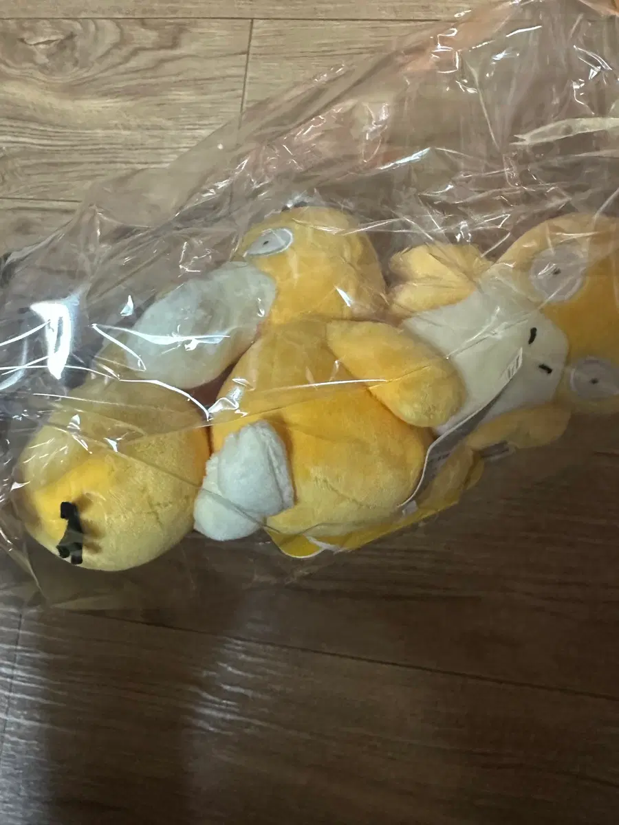 포켓몬스터 고라파덕 봉제인형