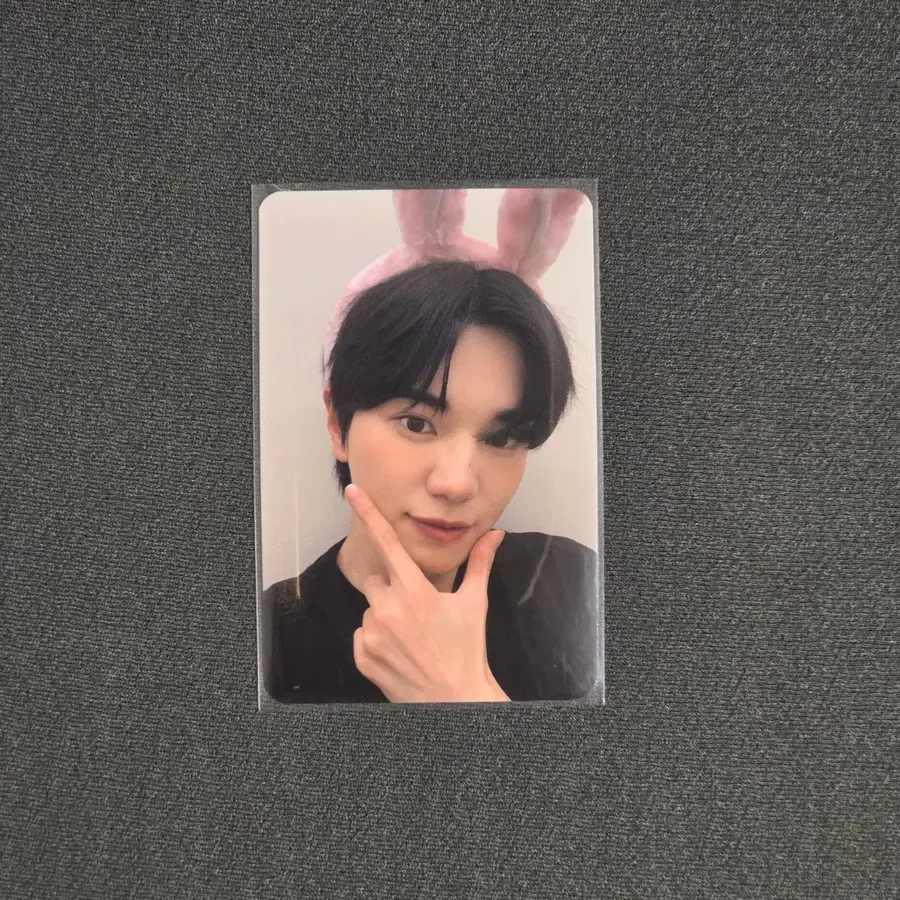 성종 인피니트 이성종 일본 MD 포카 토끼귀