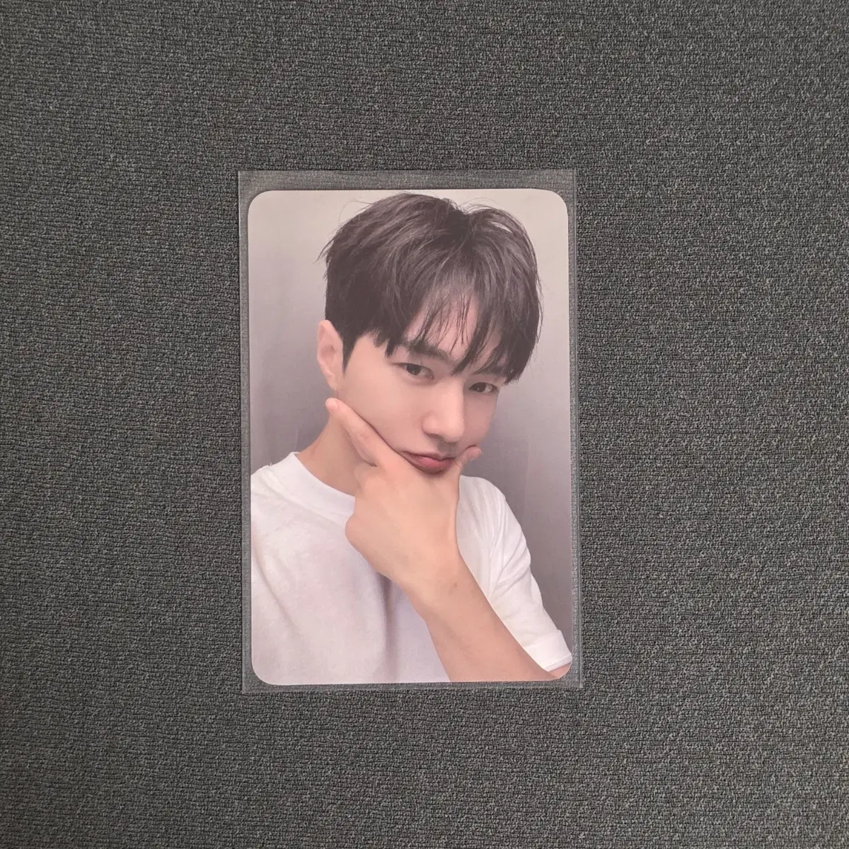 엘 명수 인피니트 김명수 포카 비긴 미공포 턱브이