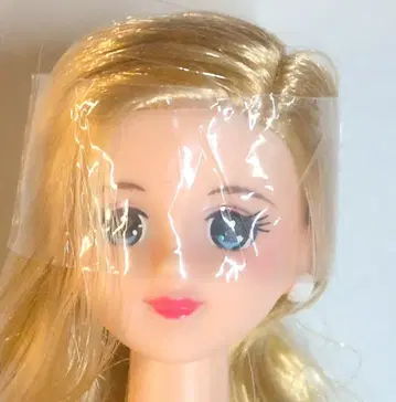 타카라 제니 프렌드 프랑수아 일본제