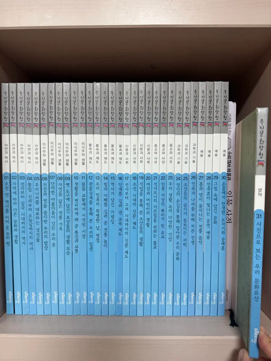 대교 우리문화탐험 31권