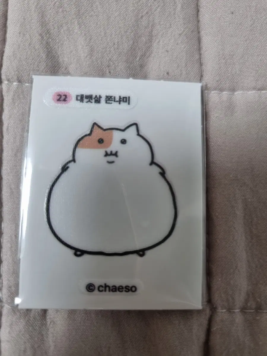 대뱃살 쫀나미 22번 띠부씰