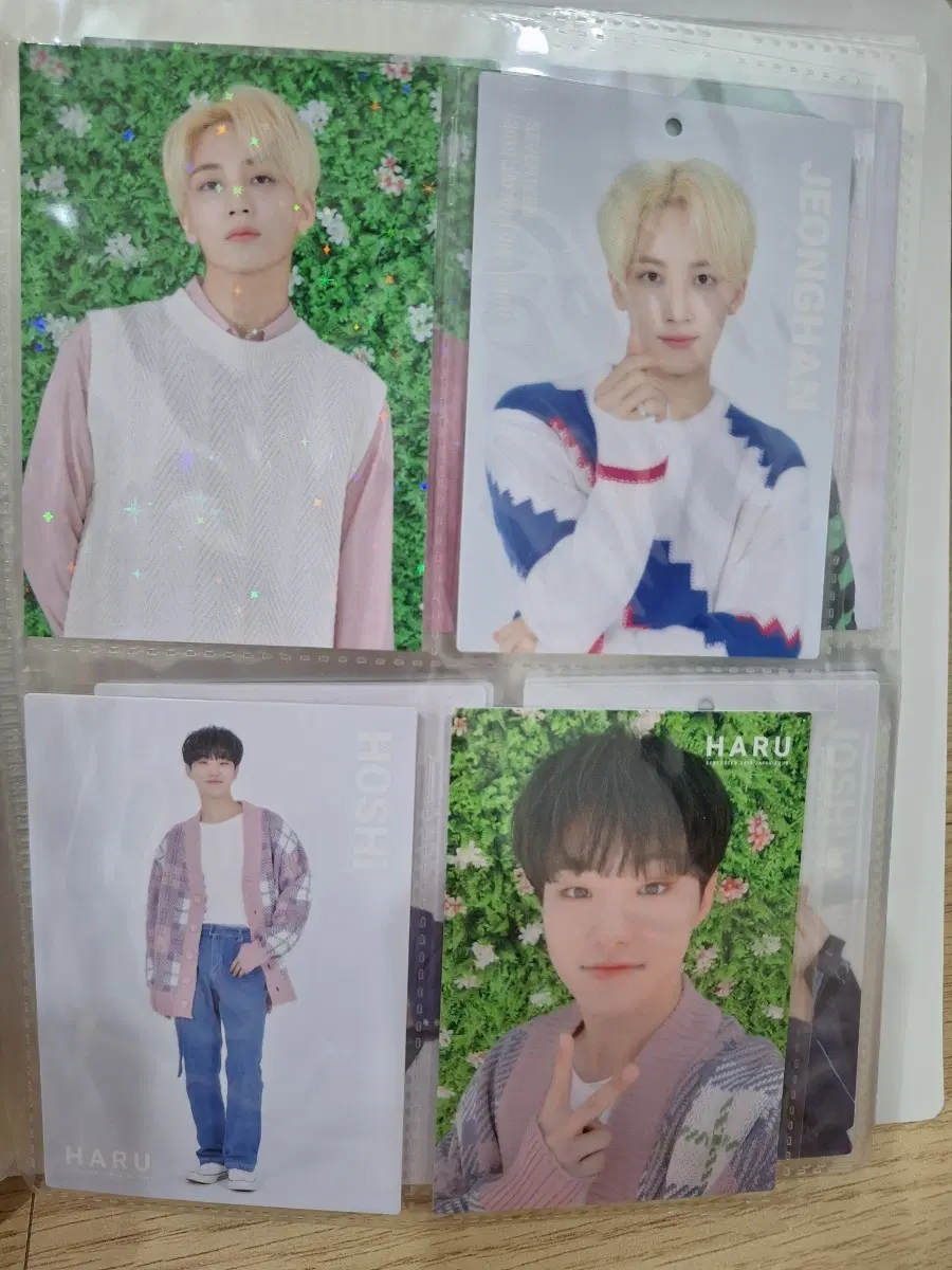 Seventeen Japan poca