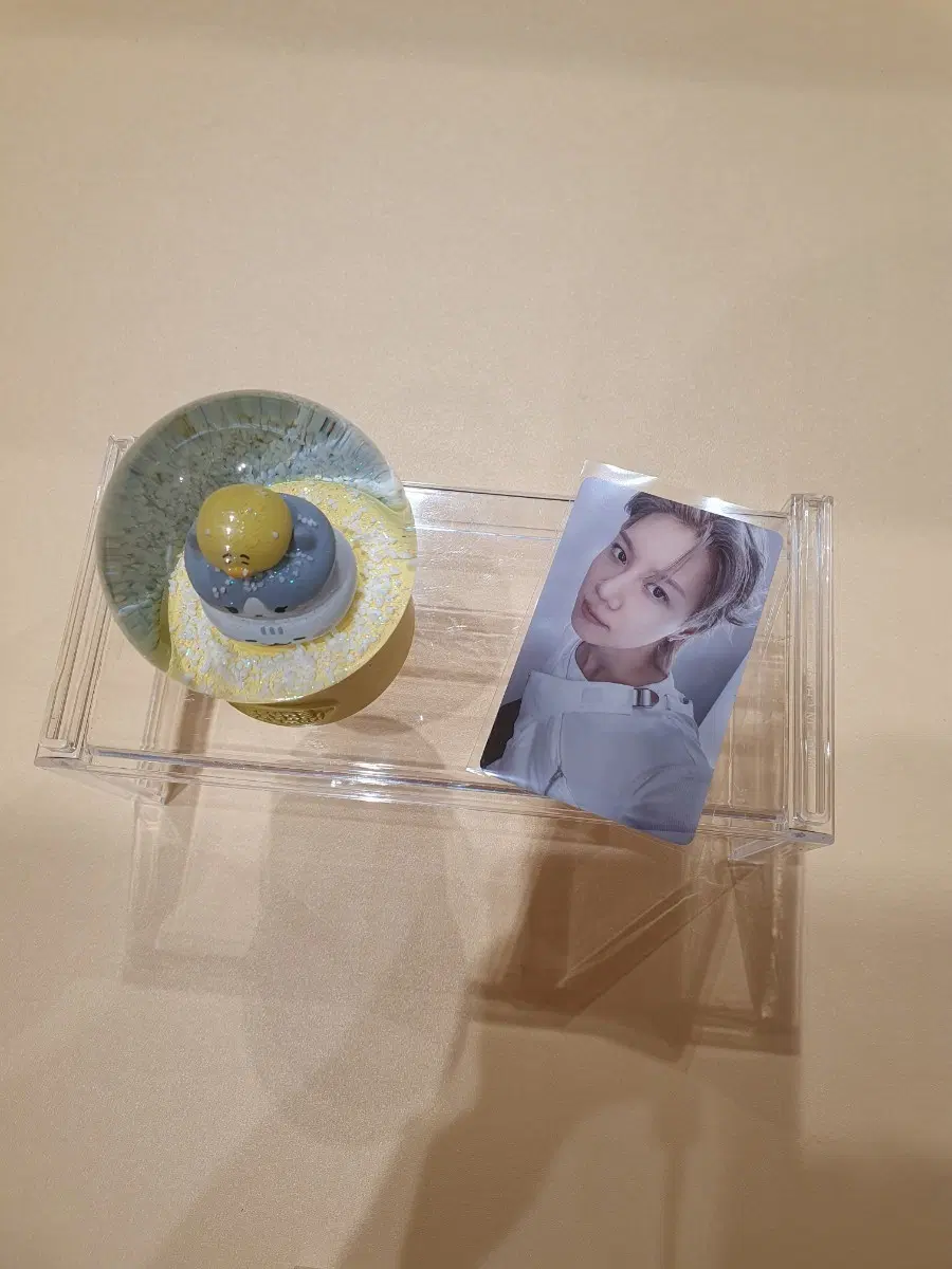 샤이니 태민 팝업 스노우볼