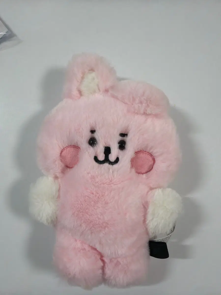 BT21 BT21베이비 플랫퍼 쿠키 정국