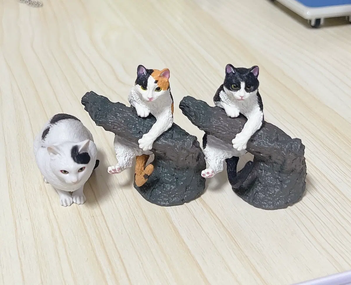 반다이 생물대도감 핑거 컬렉션 고양이 피규어 가챠