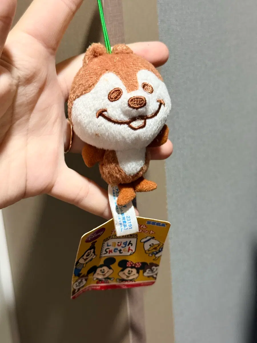 디즈니 친구들 래쉬 스케치 봉제 인형 칩엔데일
