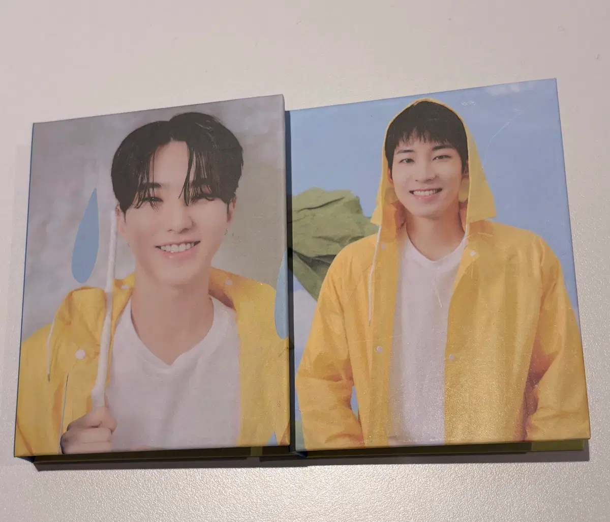 SEVENTEEN 세븐틴 SEVENTEENTH HEAVEN 캐럿반 호시 원우