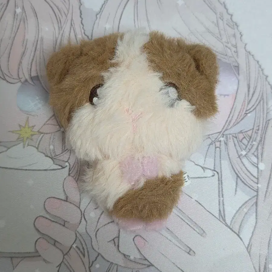 앤팀 하루아 인형 룽기니