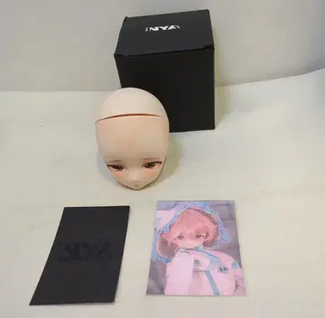 닛쿠냐쿠 DD 커스텀 헤드 DDH-28 세미 화이트 스킨