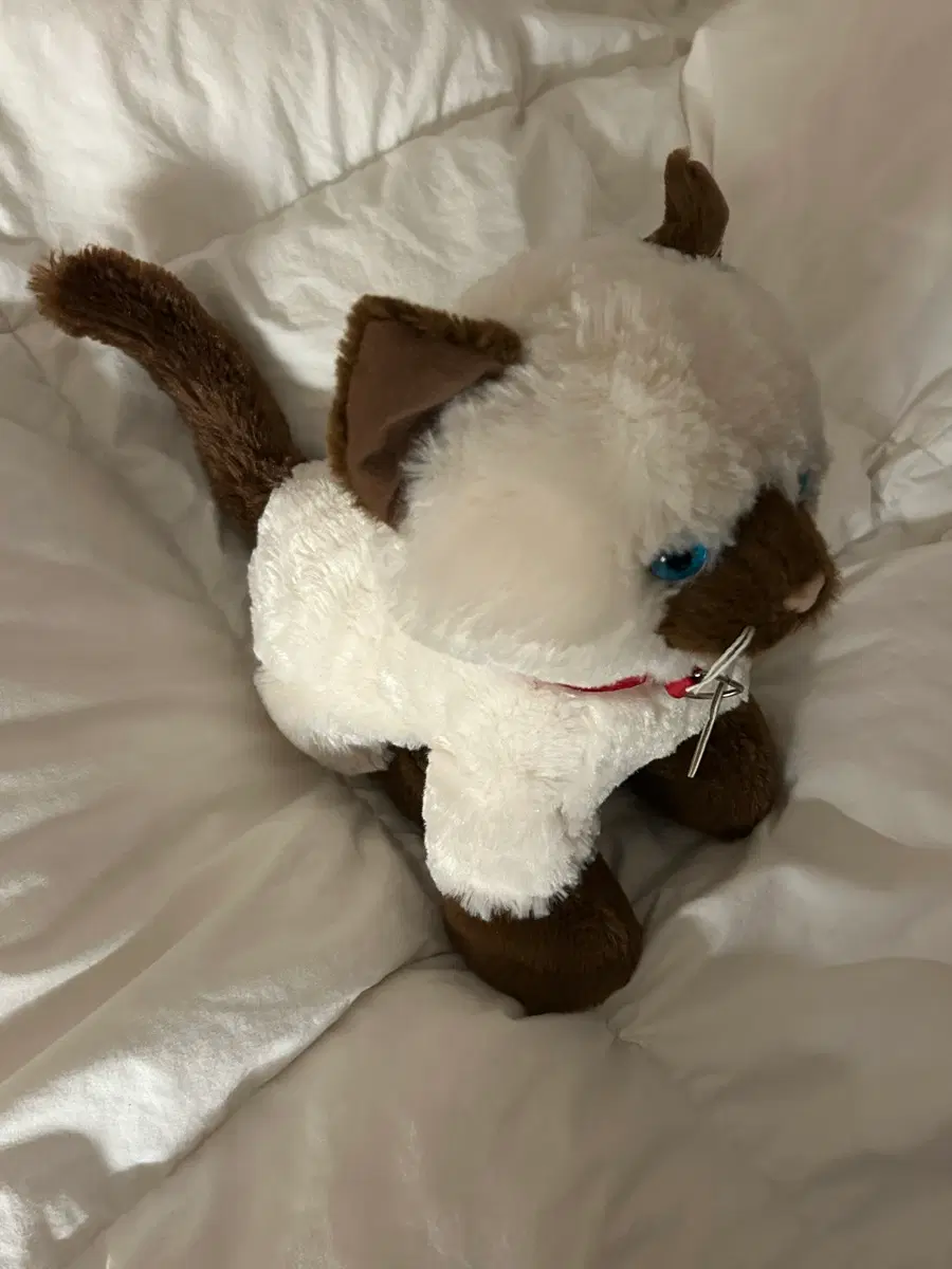 빌드어베어 고양이