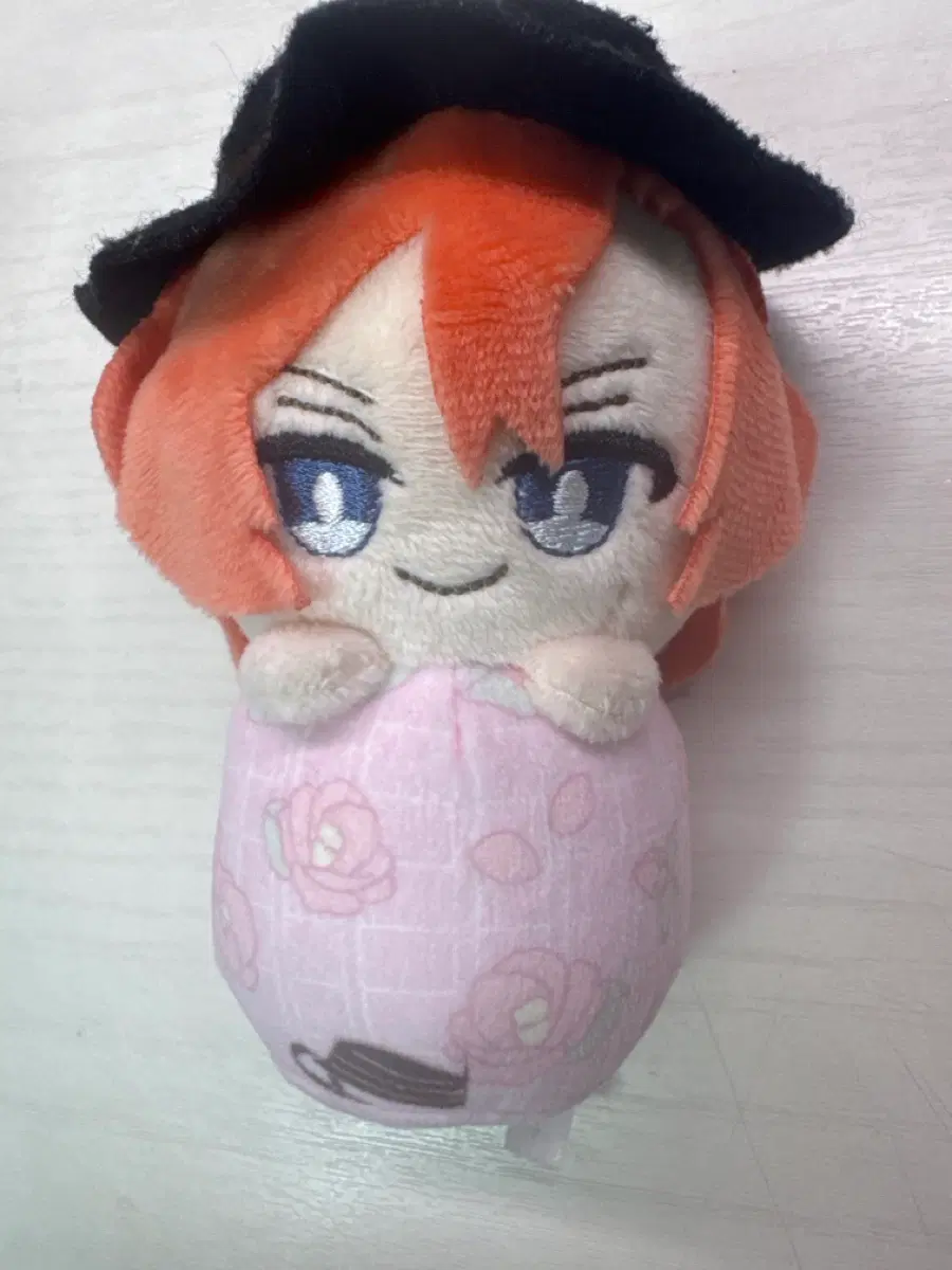 문스독 츄아 표코누이