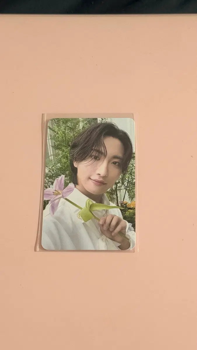 에이티즈 성화