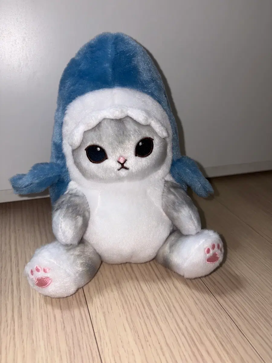 모후샌드 사메냥 상어고양이