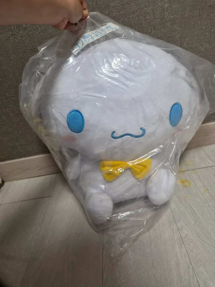 시나모롤 쿠지 1등 대형인형