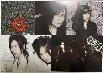 Acid Black Cherry 엽서 5장 세트 yasu