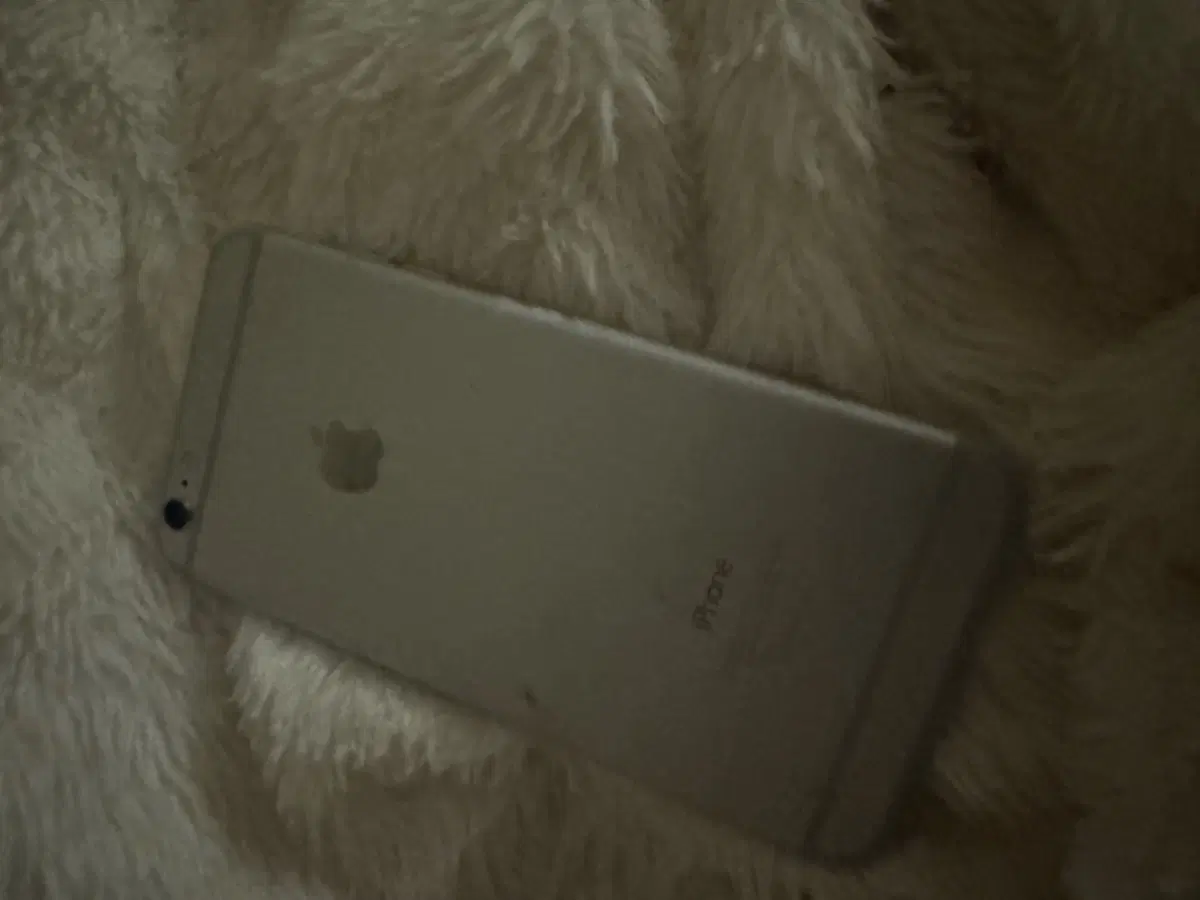 아이폰6s