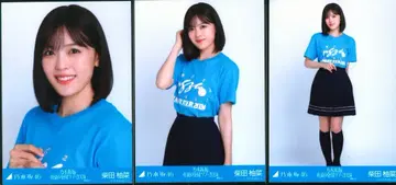 노기자카46 회장 한정 랜덤 브로마이드 시바타 유나 한여름 전국 투어 2024 T셔츠 아이치ver. 컴프