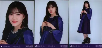 노기자카46 2023년 3월 랜덤 브로마이드 시바타 유나 나쁜 성분 컴프