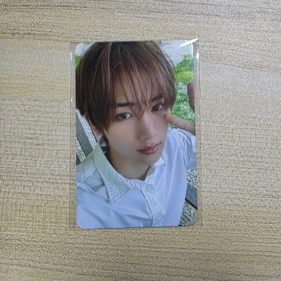 알디원 postcard 앨범 미공포 조우안신