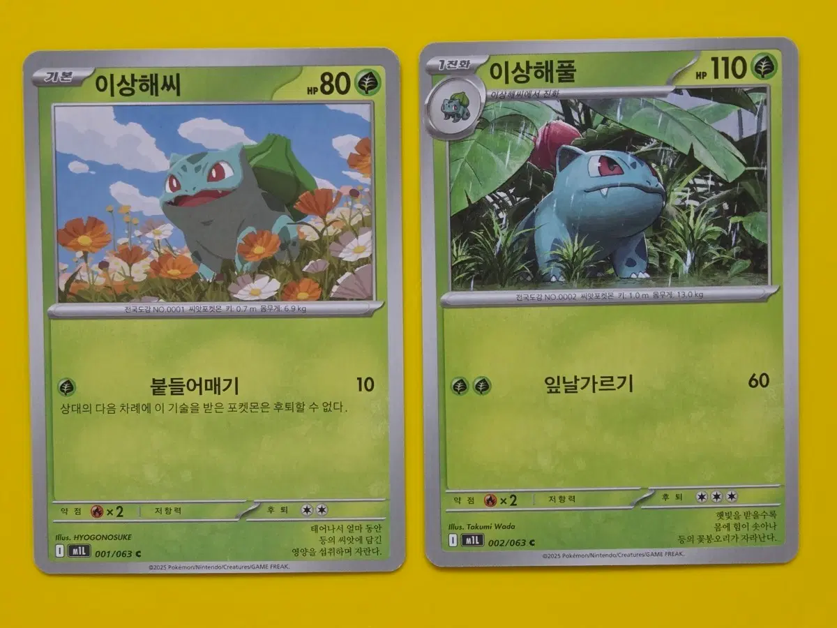 포켓몬카드 이상해씨 이상해풀 진화세트