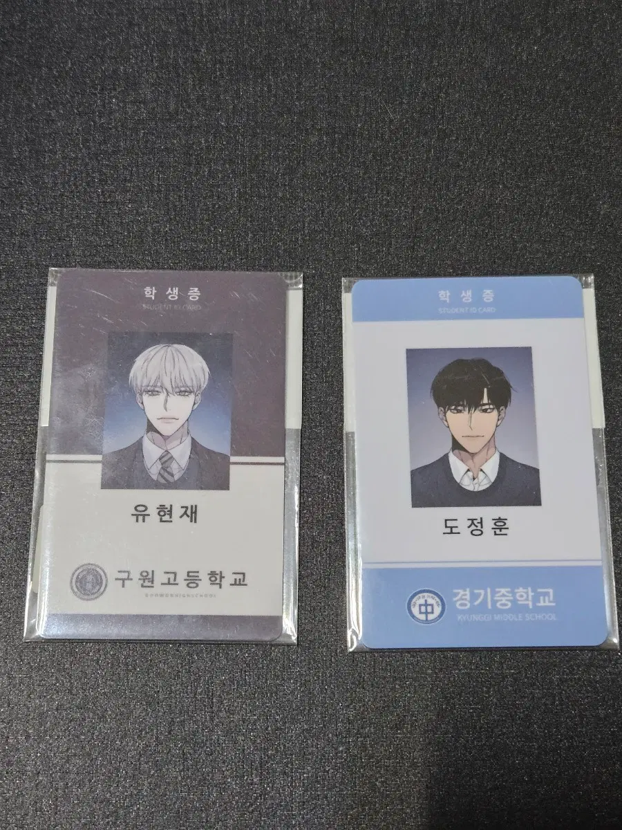 노리즌 학생증 투니크 유현재 도정훈