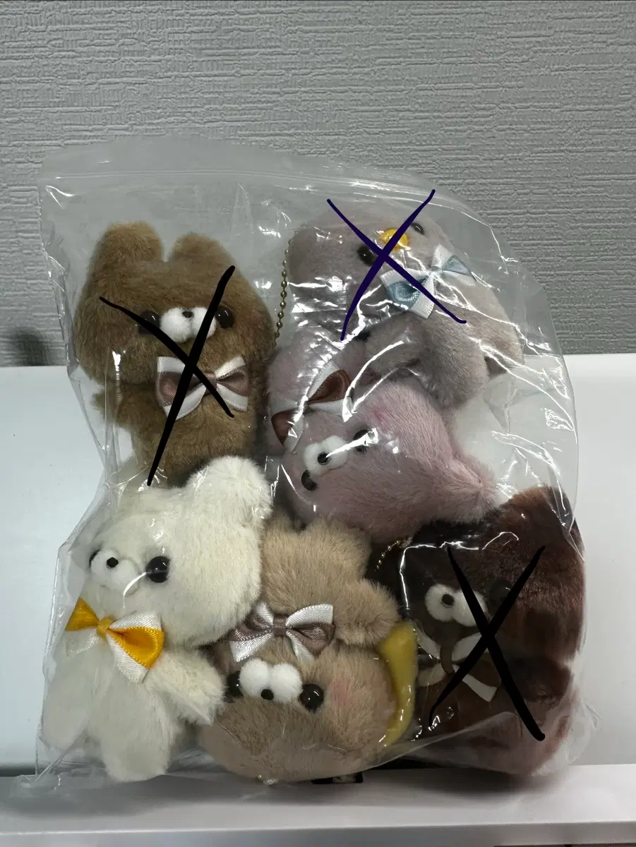 스쿳토 탓치상 키링 인형 캡슐 가챠 누이 5탄