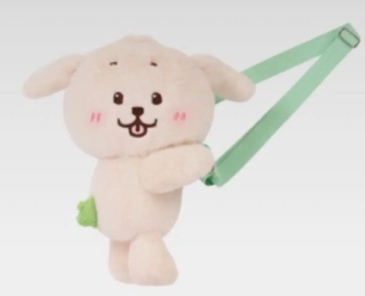 엔시티위시 재희 댕트리버 가방
