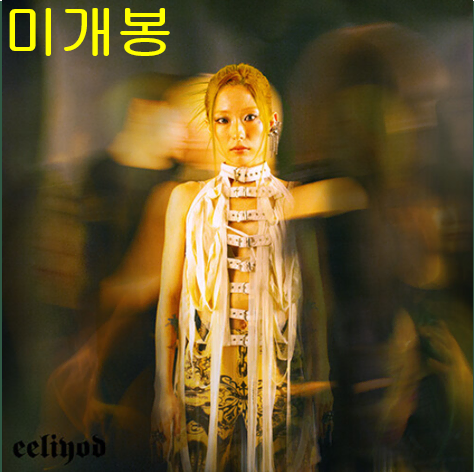 이도이 (Doyi Lee) - eeliyod (미개봉, CD)