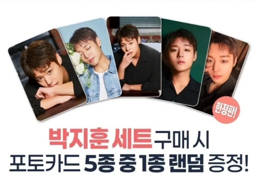 박지훈 포토카드로 메지루시 오야지치 가을 원피스 냥코센세 구해봐요
