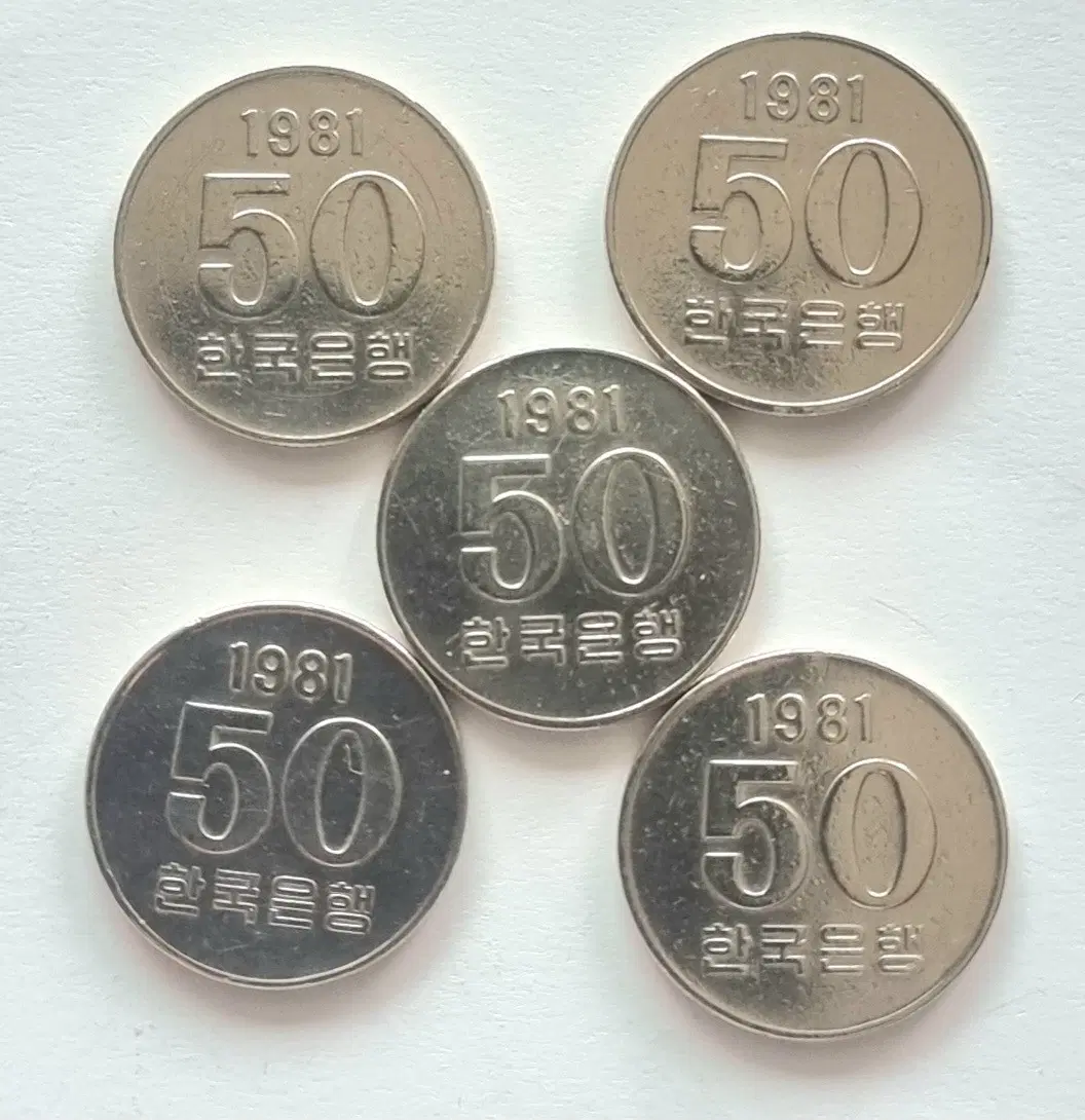 1981년 50원 한국은행 주화 5개