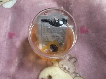 오오니시 류세이 메지루시 참