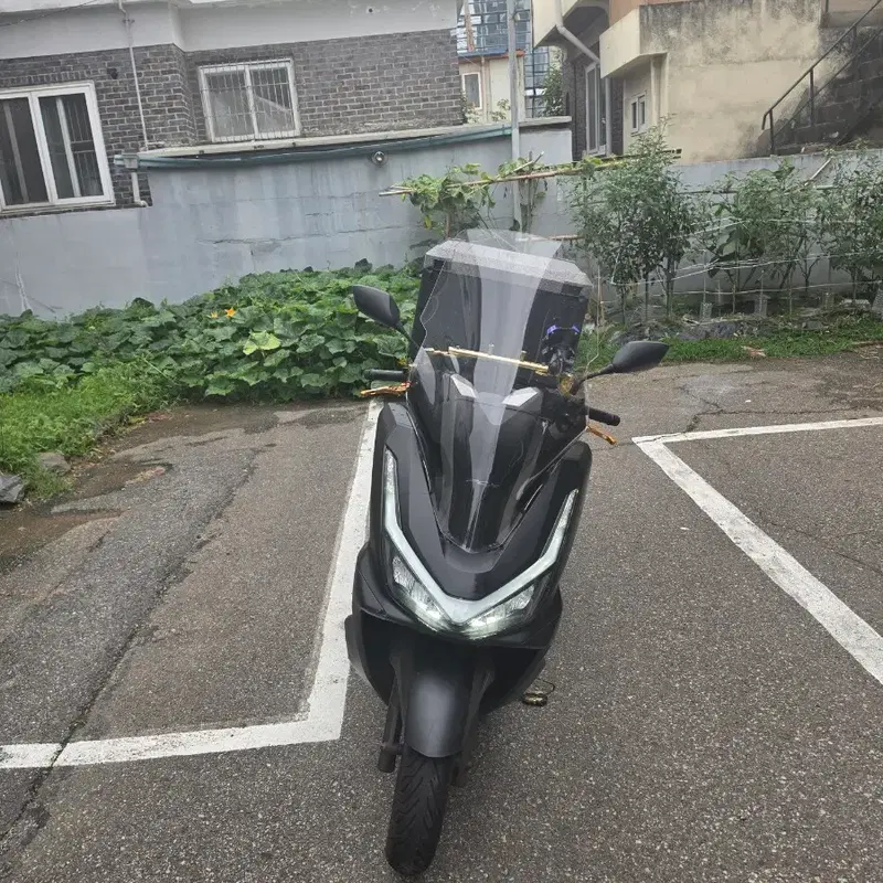 혼다 PCX125 2025년식 스쿠터