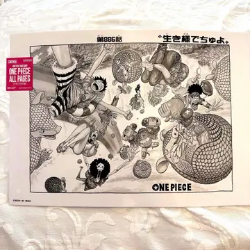 원피스 베이스샵 ALL PAGES 제886화 삶의 방식