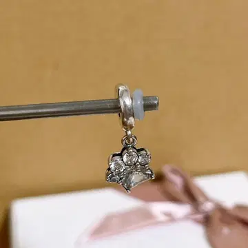 PANDORA 판도라 대글참 육구 S925 Paw Print