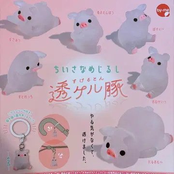 작은 표시 투명 돼지 풀 컴플리트 전 6종 돼지 가챠