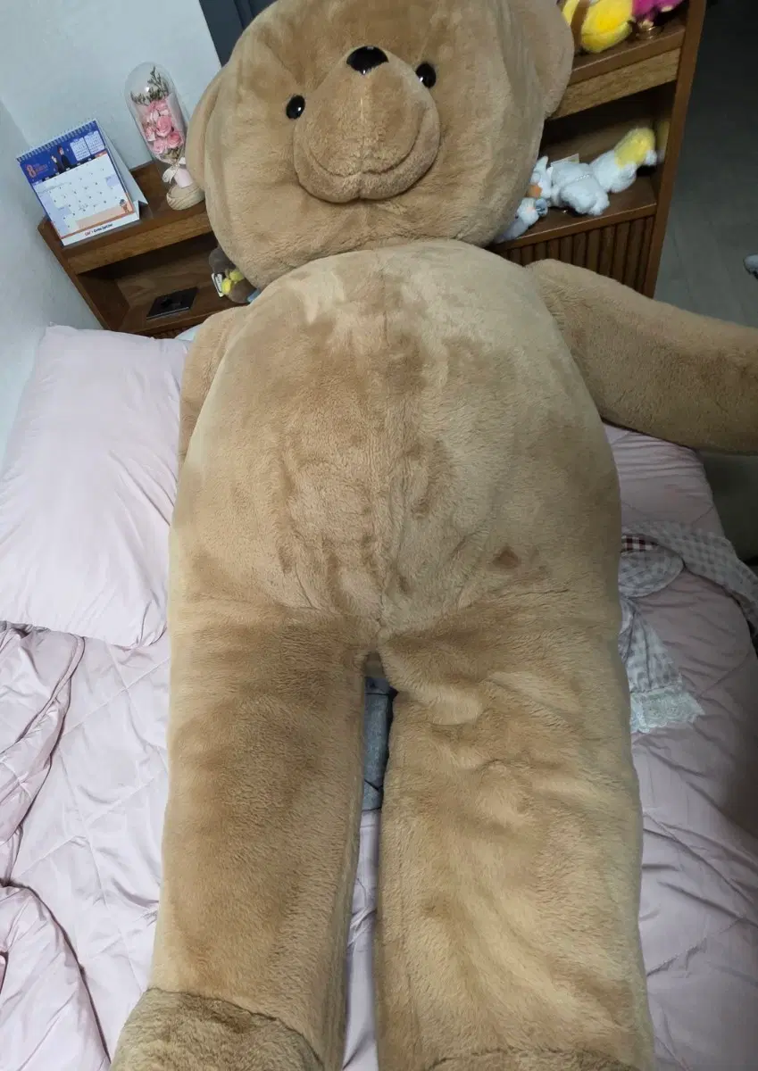 대형 곰인형 판매합니다