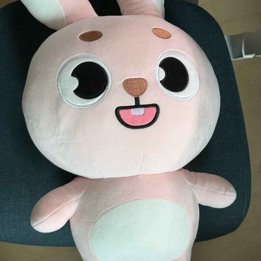 데이식스 자이언트 인형 원필