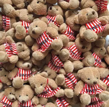 SWEEP TEDDY BEAR KEYRING 테디베어 키링
