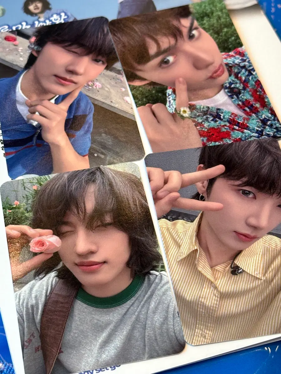 에이엠피 AxMxP 공방 포카 양도