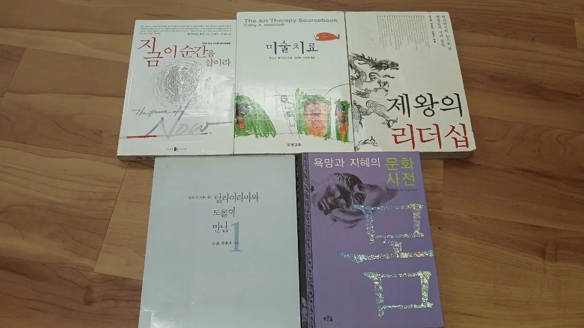 지금 이 순간을 살아라 / 미술치료 / 제왕의 리더십 / 달라이라마와 도올의 만남 / 욕망과 지혜의 문화사전 몸