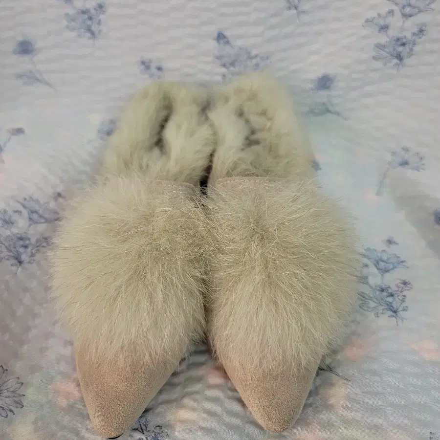 슬리퍼