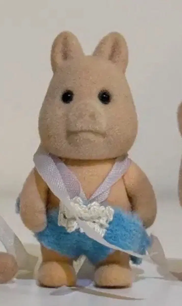 실바니안 멧돼지 구해요
