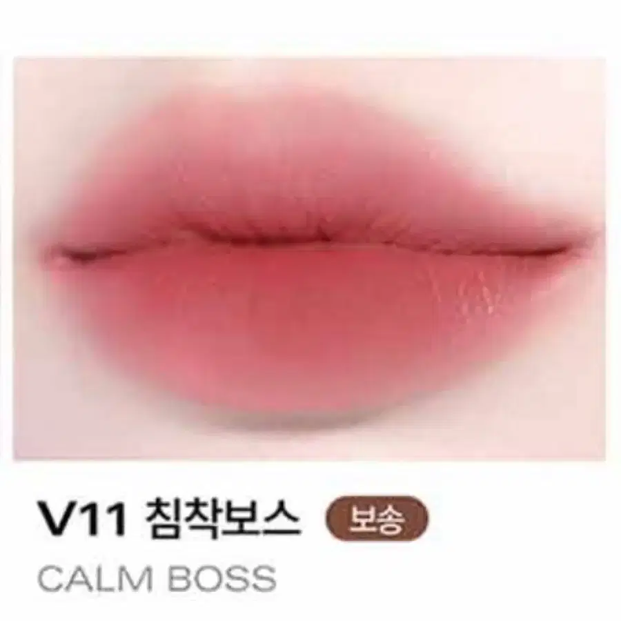 삐아 라스트 벨벳 틴트 V11 침착보스
