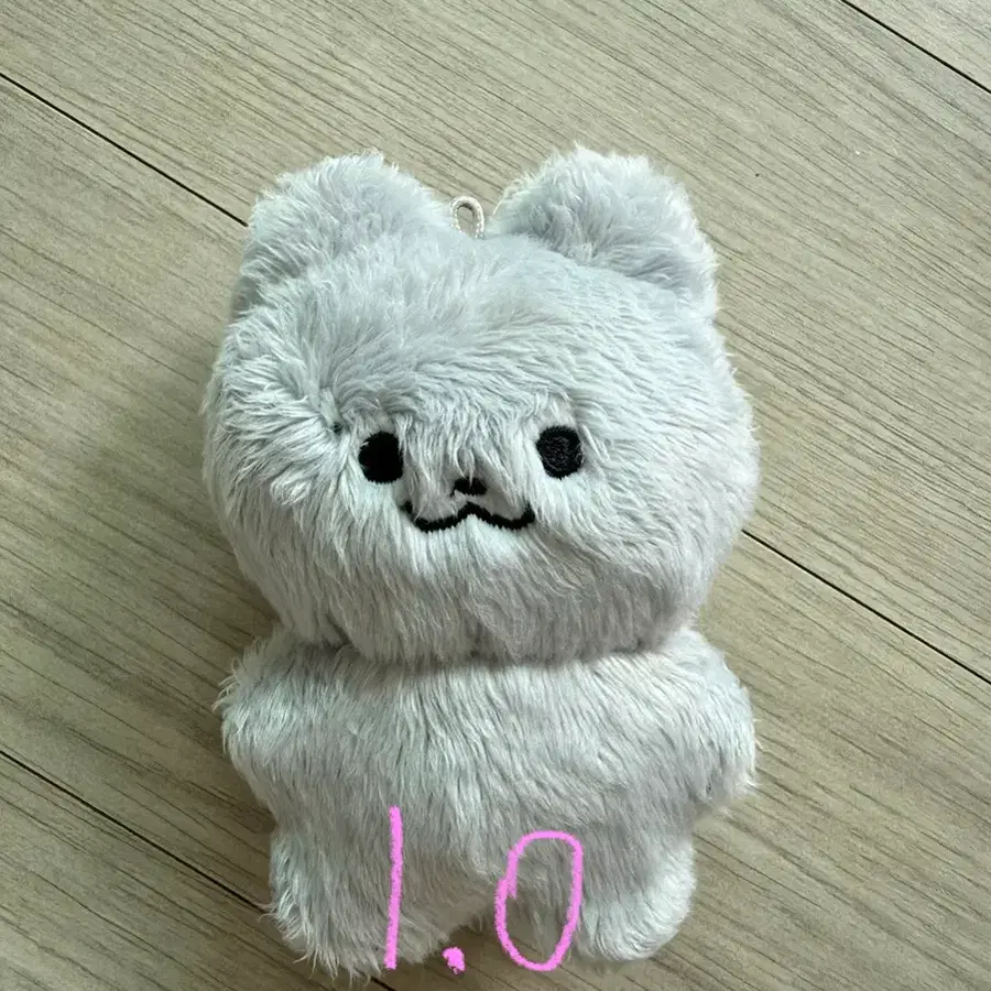 더보이즈 주연 주냥이 10cm 인형