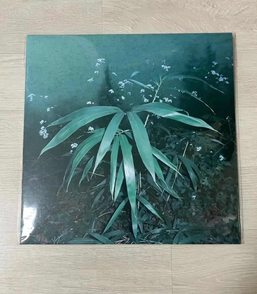 신해경 - 속꿈, 속꿈 클리어 그린 한정판 LP