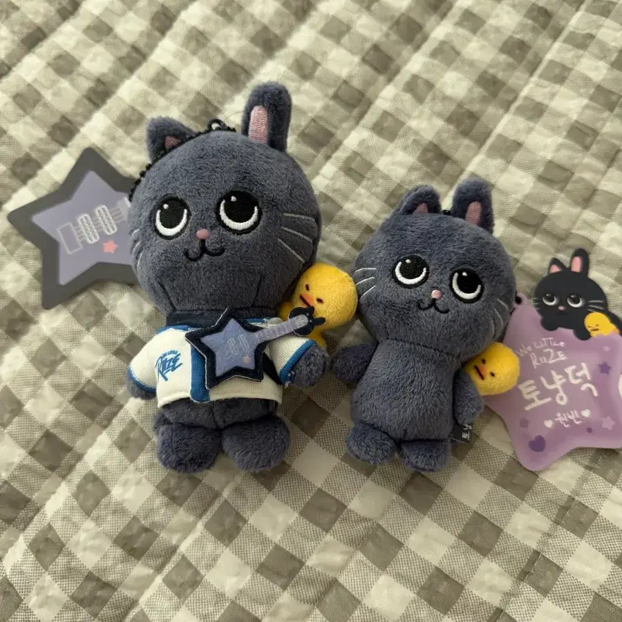라이즈 원빈 토냥덕 베이비 락스타 8cm 10cm